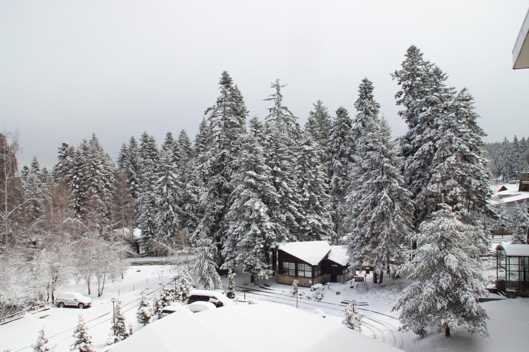 Charming One Bed Apartment 423 In Main Flora Building Borovets Exterior foto